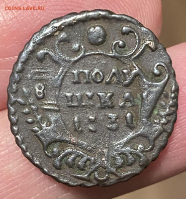 Полушка 1731 г., перечекан с копейки 1728. До 16.04.23 22:00 - E4CC87F1-BE35-4071-B25C-6094B45E74E3