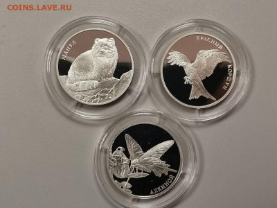 2р 2016 Крас книга. Манул, Алкиной, Коршун, Ag925, до 18.04 - X КК 2016-1