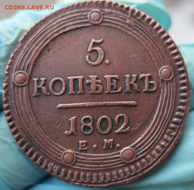 Кольцевик 1802 год - 1