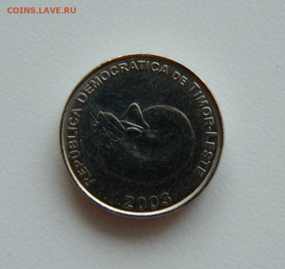 Восточный Тимор 1 сентаво 2003 г.(Фауна)С рубля! до 17.04.23 - DSCN0834.JPG