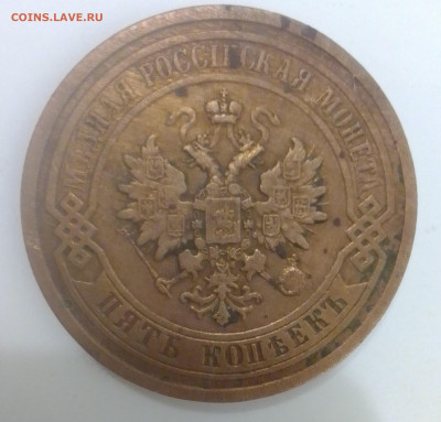 5 копеек 1881 год - IMG_20230414_095302