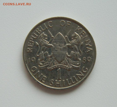 Кения 1 шиллинг 1989 г. С рубля! до 19.04.23 - DSCN0974.JPG