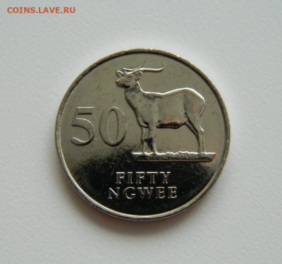 Замбия 50 нгве 1992 г. (Фауна) С рубля! до 20.04.23 - DSCN1083.JPG