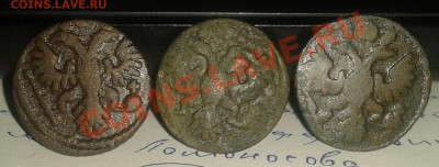 Лот из 18 монет (Деньги-Полушки) 1731-1753   до   22.12.2011 - 2011-12-17 18.12.09