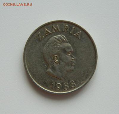 Замбия 20 нгве 1988 г. (Фауна) до 24.04.23 - DSCN1144.JPG