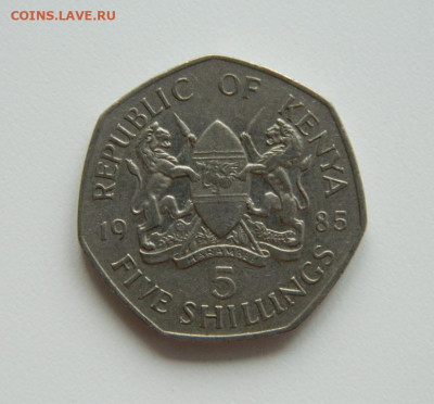 Кения 5 шиллингов 1985 г.  до 24.04.23 - DSCN1270.JPG