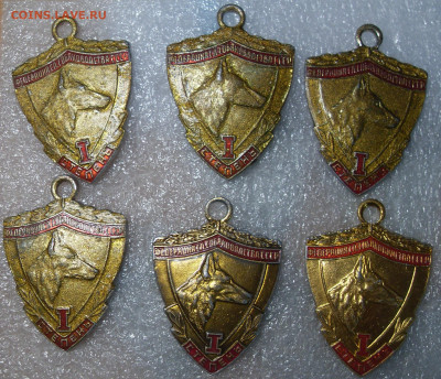 шт - SDC16715.JPG