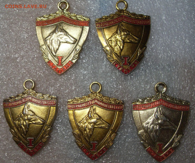 шт - SDC16720.JPG