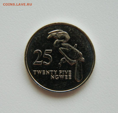 Замбия 25 нгве 1992 г. (Фауна) до 24.04.23 - DSCN1513.JPG