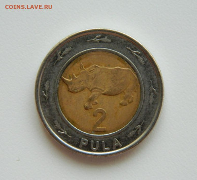 Ботсвана 2 пула 2013 г. (Фауна) БИМ до 25.04.23 - DSCN1476.JPG