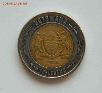 Ботсвана 2 пула 2013 г. (Фауна) БИМ до 25.04.23 - DSCN1477.JPG