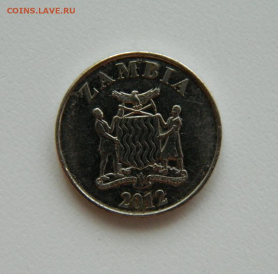 Замбия 5 нгве 2012 г. (Фауна) до 25.04.23 - DSCN1520.JPG