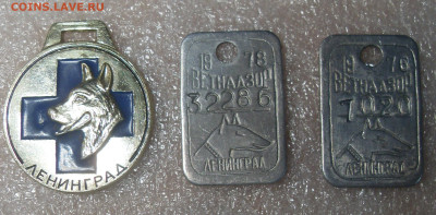 Ветнадзор по 80р - SDC16733.JPG