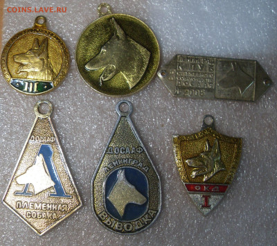 по 50р - SDC16736.JPG