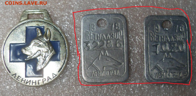 Жетоны собачьи ДОСААФ и Ветнадзор - SDC16733.JPG