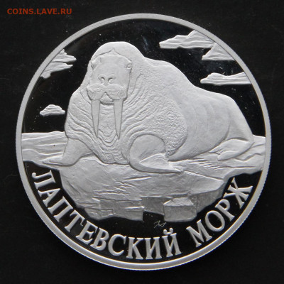 1 рубль 1998 Лаптевый Морж с 200! до 23.04 в 22:10 - Россия 1 рубль 1998 Лаптевский морж_2
