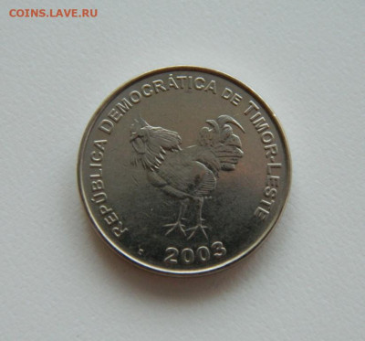Восточный Тимор 10 сентаво 2003 г. (Фауна) до 25.04.23 - DSCN1492.JPG