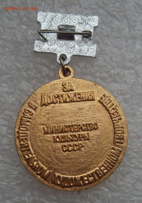 Медаль за достижения в самодеятельном худ. творчестве - SDC16531.JPG