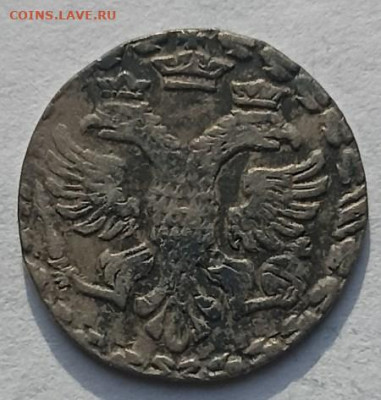 Алтын 1704 - Алтын 1704 - 4