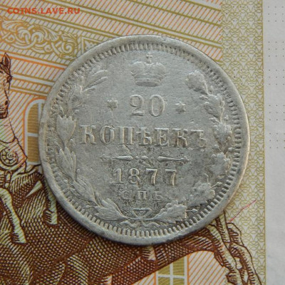 20 копеек 1875, 1876, 1877 годов - DSCN5732.JPG
