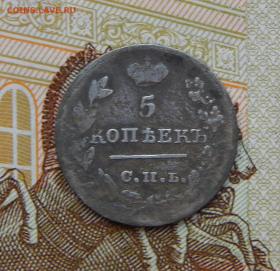 5 копеек 1826 г. СПБ НГ. Николай I. Орел с опущенными крыль - DSCN5568.JPG