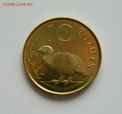 Гамбия 10 бутут 1998 г. (Фауна) до 26.04.23 - DSCN1656.JPG