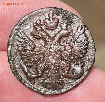 Полушка 1737, 1738, 1749 годов. До 30.04.23 22:00 - 55EF0034-B838-44C4-89EC-103C34C4B5A8