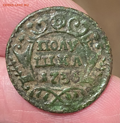 Полушка 1731, 1734, 1735, 1736, 1737 гг. До 30.04.23 22:00 - AF8CDB06-D380-430E-A486-01B6F323D94B