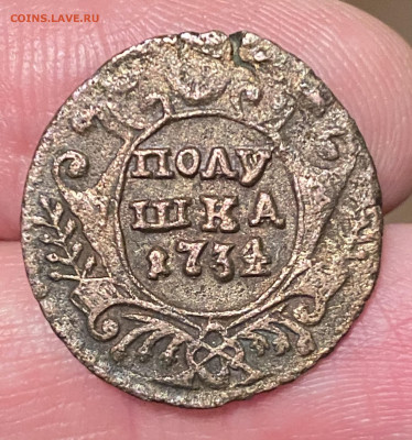 Полушка 1731, 1734, 1735, 1736, 1737 гг. До 30.04.23 22:00 - 2D1E4578-C84F-44A5-A822-9F642354A81F