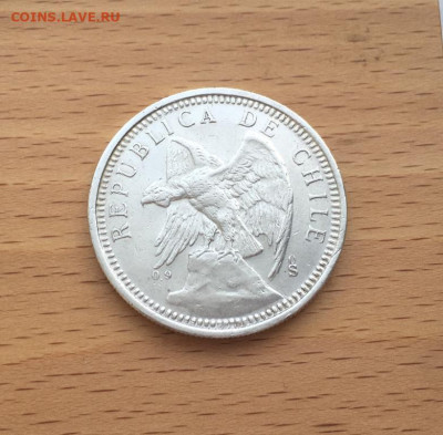 Чили 5 песо 1927 Кондор XF Серебро Крона Шайба фауна птица - chili_5_peso_1927_kondor_xf_serebro_krona_shajba_fauna_ptica (2)