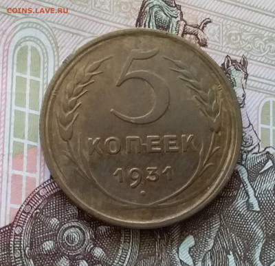 5 копеек 1931. До 30.04.23 в 22.00 - 20230426_181918