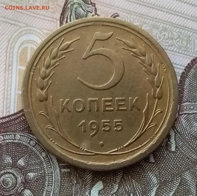 5 копеек 1955. До 30.04.23 в 22.00 - 20230426_183726
