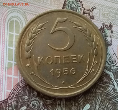 5 копеек 1956. До 30.04.23 в 22.00 - 20230426_183949