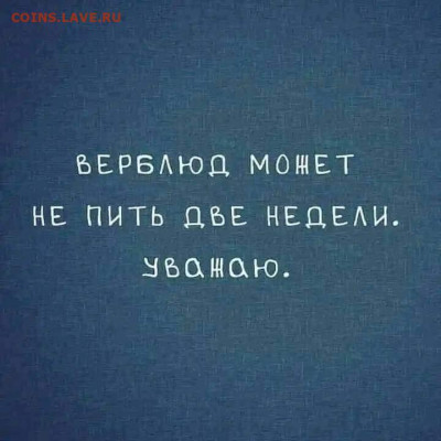 юмор - Верблюд