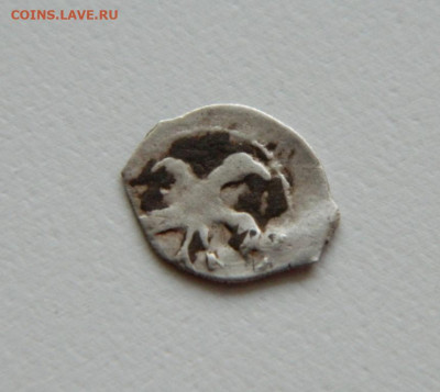 Полушка Ивана Грозного. С рубля! до 03.05.23 - DSCN1865.JPG