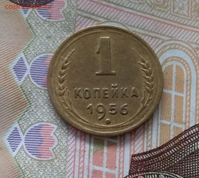 1 копейка 1956. До 30.04.23 в 22.00 - 20230427_102550