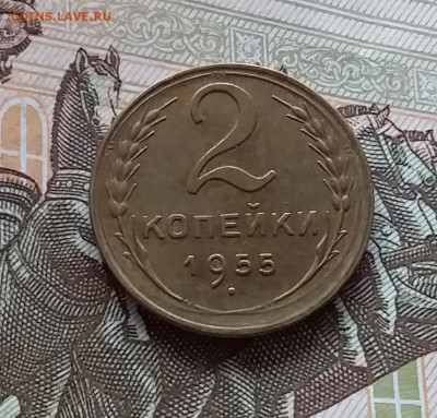 2 копейки 1955. До 1.05.23 в 22.00 - 20230427_113935