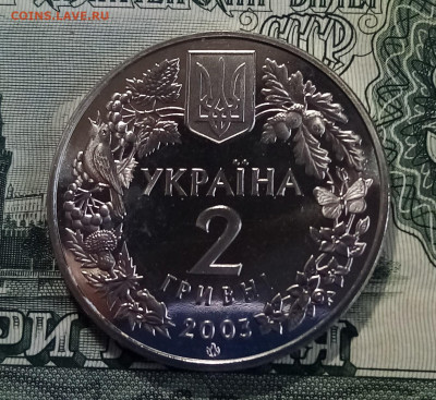 2 гр 2003 г Зубр до 3.05 - з2