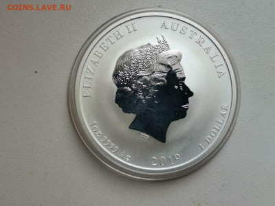 1 доллар 2019 Австралия - Год свиньи. Лунар, Ag999, до 05.05 - ЯЯ Лунар Свинья-2