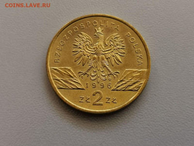 2Z Польша 1996 Ёж, до 06.05 - 1996 Еж-2