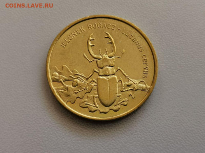 2Z Польша 1997 Жук-олень, до 06.05 - 1997 Жук-олень-1