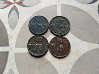 4 полушки 1854, 1856, 1857, 1858 до 04.05.2023 - 4пол (11)
