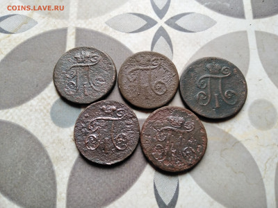 деньга 1797-1798, 5 штук до 04.05.2023 - 5павл (2)
