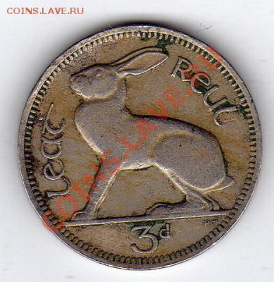 Ирландия 3 пенса 1949 Заяц до 22.12.11 в 22.00мск (884) - img469