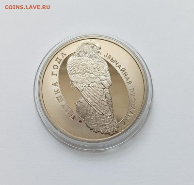 Беларусь 1 рубль 2010 Птица года - Обыкновенная пустельга - пустеьга