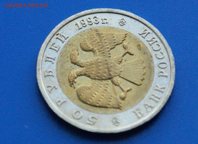 КК 50 рублей 1993 г. Гималайский Медведь до 10.05 - 33.2.5.JPG