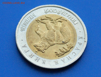 КК 50 рублей 1993 г. Гималайский Медведь до 10.05 - 33.1.4.JPG