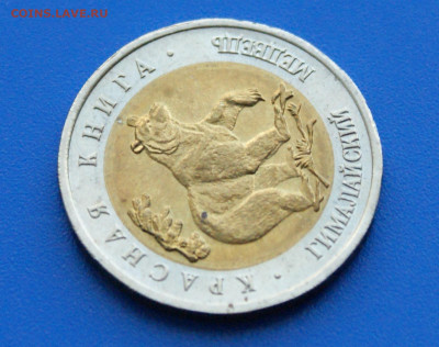 КК 50 рублей 1993 г. Гималайский Медведь до 10.05 - 33.1.3.JPG