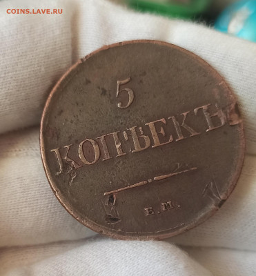 5 копеек 1831 ЕМ ФХ. До 10.05.23 в 22.30 МСК. - 1682056850712