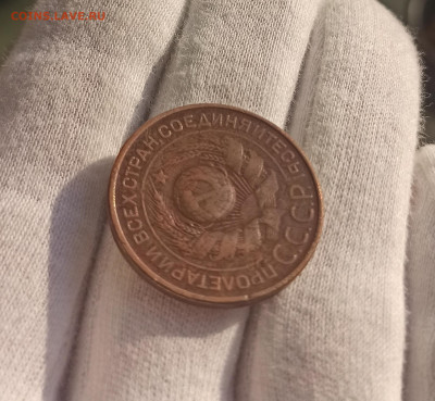 2 и 3 копейки 1924. До 10.05.23 в 22.30 МСК. - 1682064232162
